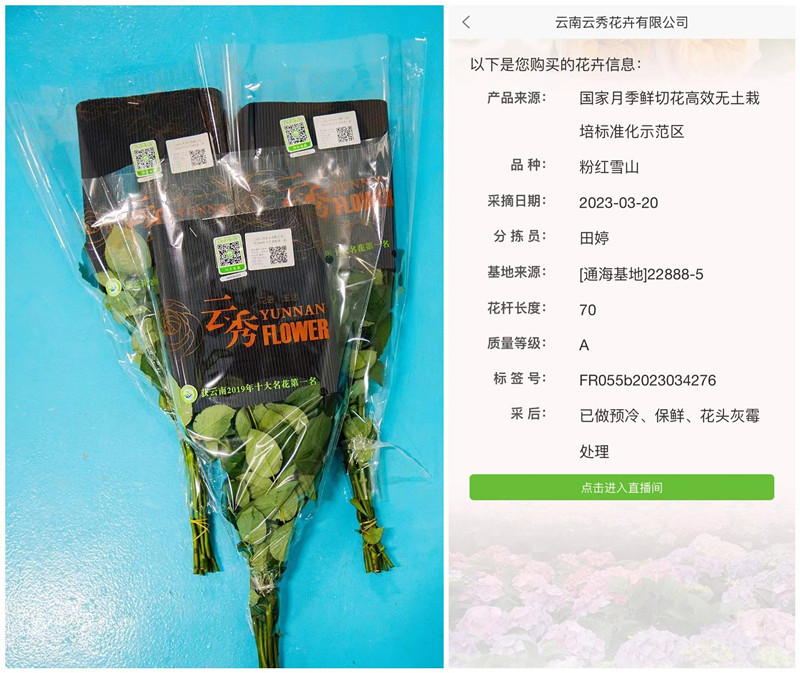 大规模推广土栽培技术，启动建设花卉溯源系统
