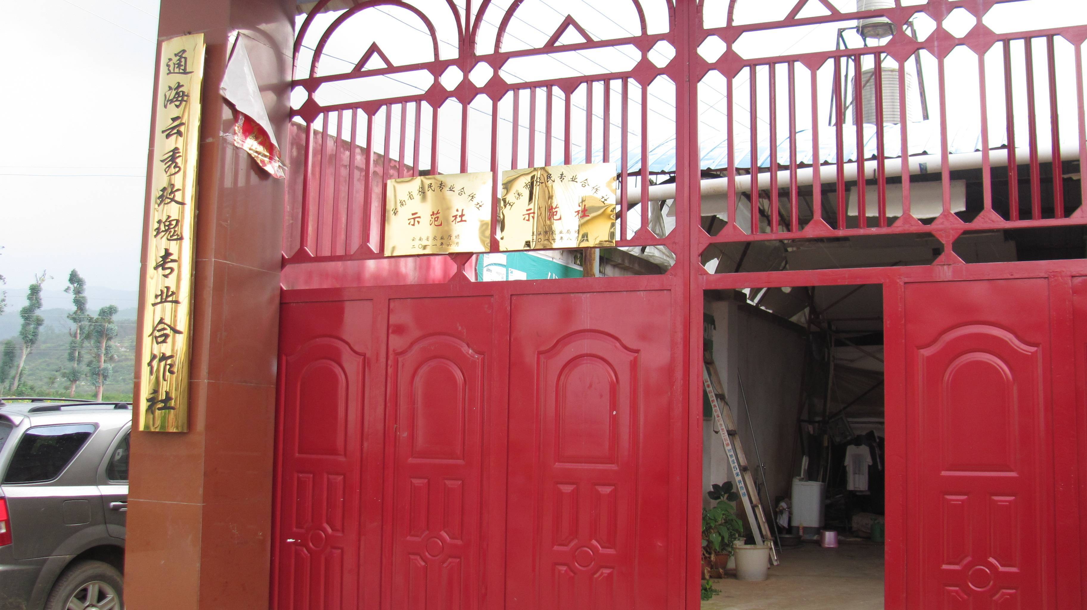 组建通海县云秀玫瑰专业合作社