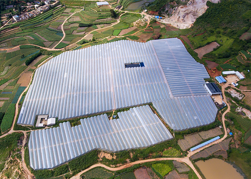 建设曲陀关基地，建设无土载培试验基地
